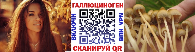 Галлюциногенные грибы ЛСД  Оленегорск 